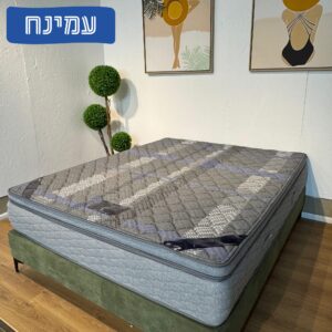 עמינח גרייט