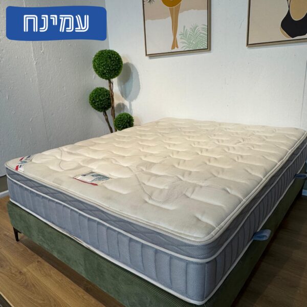 עמינח דגם דיירקט