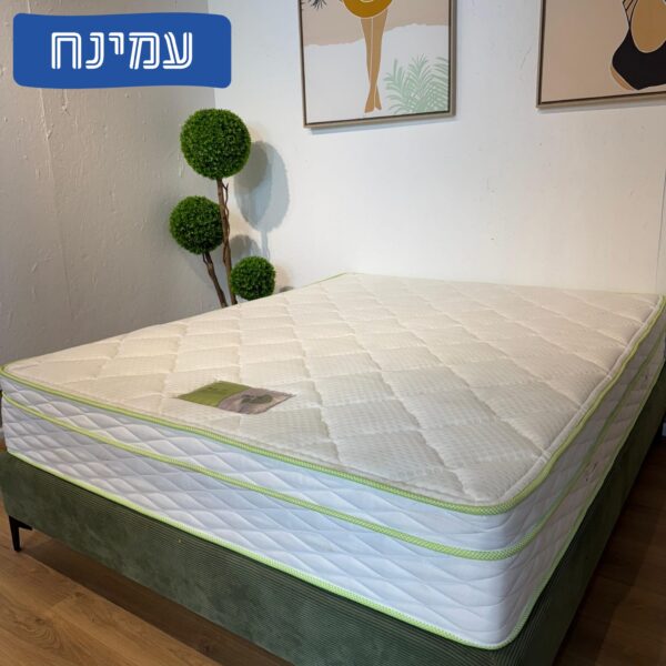 עמינח דגם לוטוס