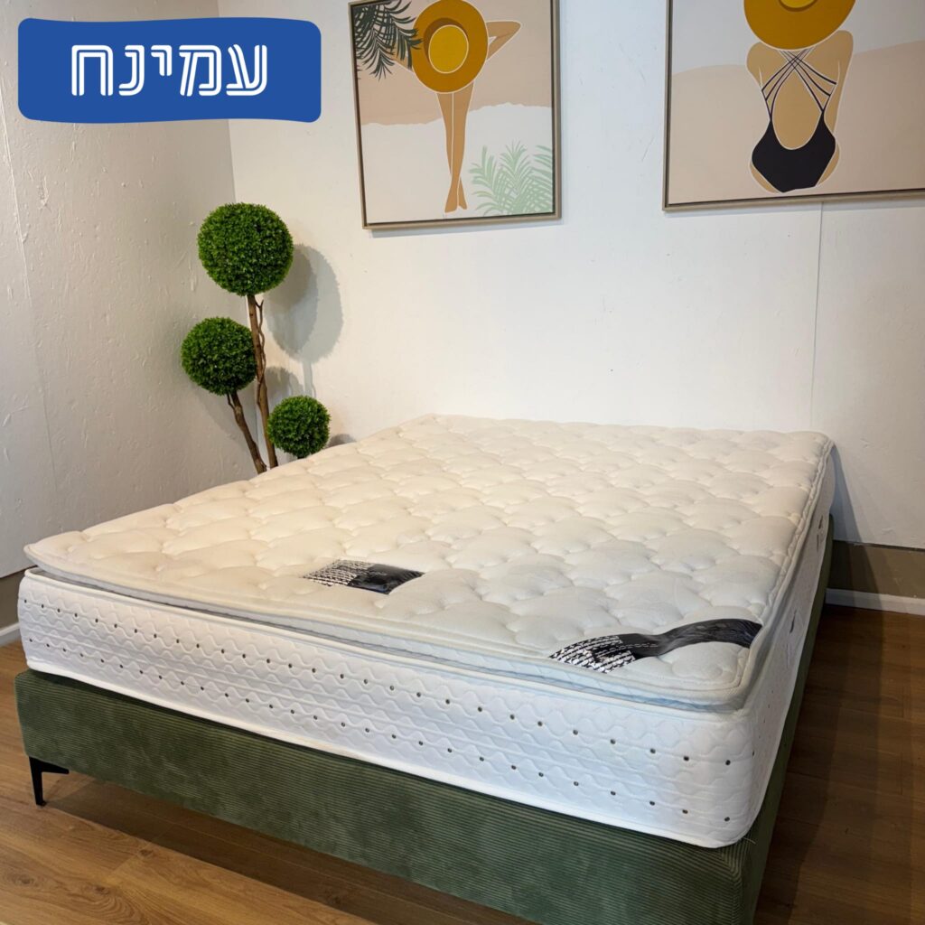 עמינח דגם מברוק